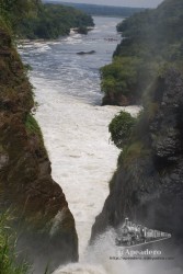 Las famosas Murchison Falls
