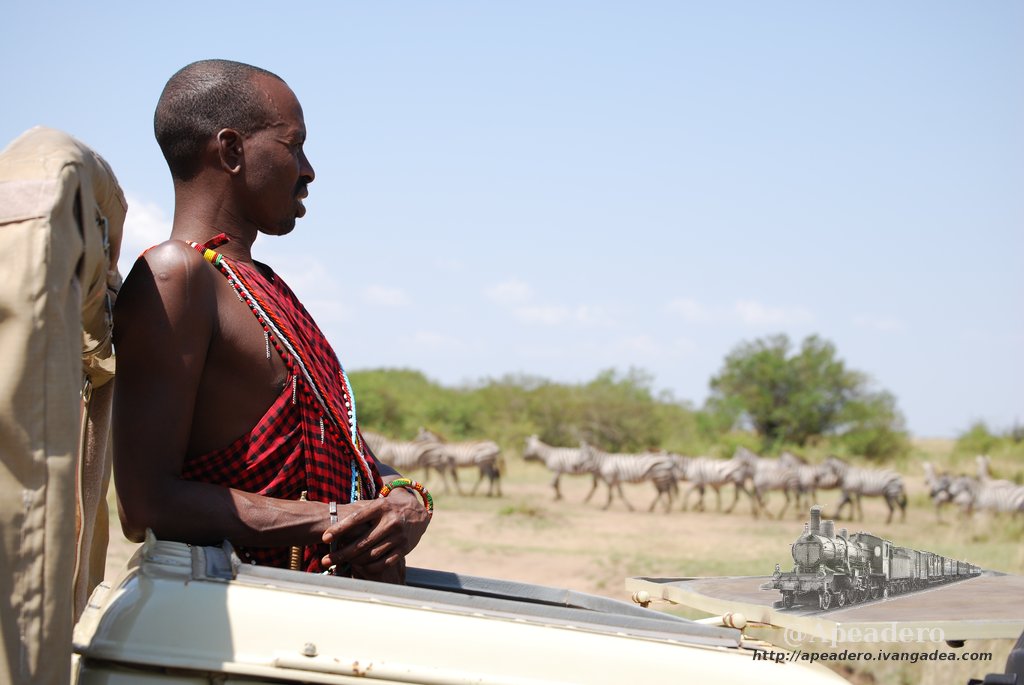 Los Masais