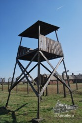 Decir Auschwitz es decir campo de concentración, prisión, nazis, genocidio...