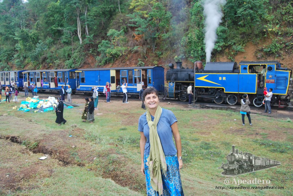 El tren de las nubes (Nilgiris)