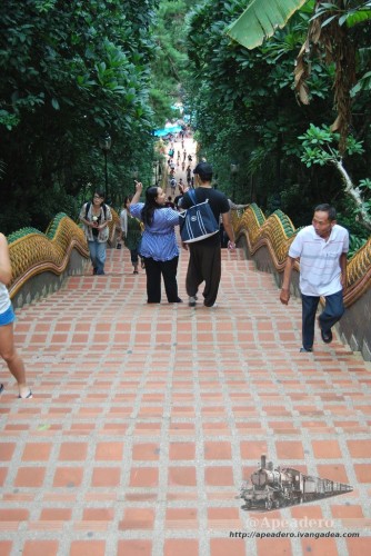 Las escaleras para subir a Doi Suthep son impresionantes. Y justo cuando estás arriba es cuando te quieren cobrar sin avisarte...