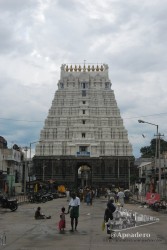 Kanchipuram fue una decepción total, esperábamos algo más espectacular. Es un templo grande, pero uno más de tantos.
