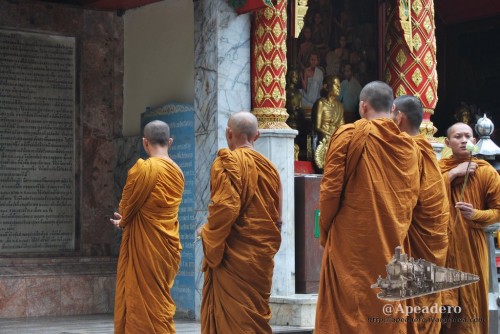 El templo de Doi Suthep fue uno de los lugares dónde vimos mayor número de monjes y fue más fácil fotografiarles.