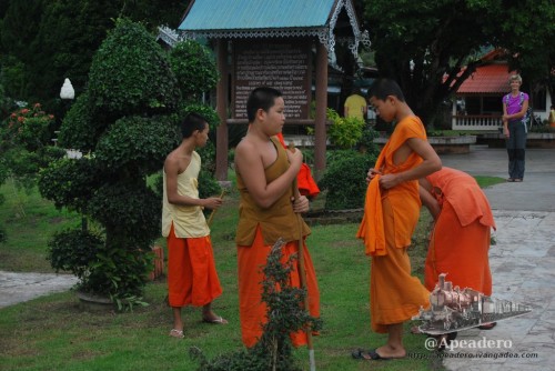Los monjes más jóvenes son los que trabajan en el jardín, bajo la atenta mirada de los turistas.