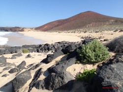 Podrás visitar la Playa de Las Conchas en la Graciosa si acampas gratis en la isla